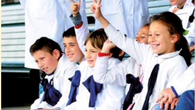 curriculo