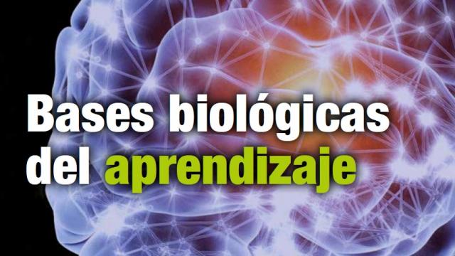 biologia