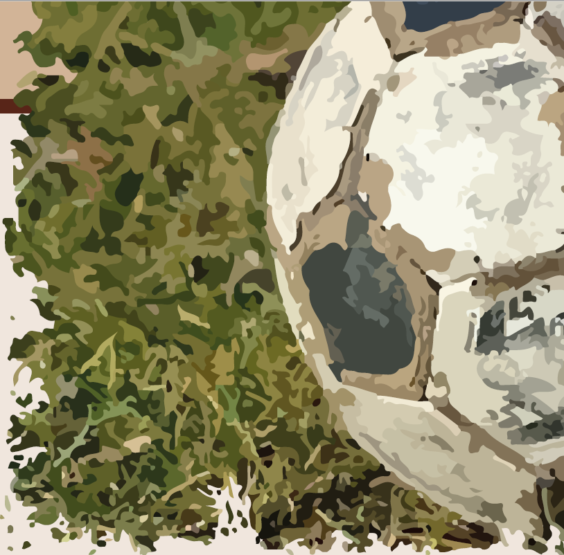 El fútbol en la escuela 2