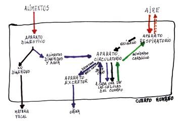 Cuatro procesos en uno 3