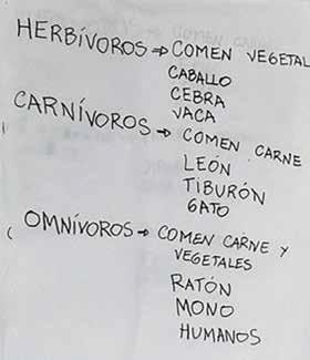 Prácticas de escritura 7