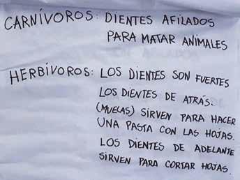 Prácticas de escritura 8