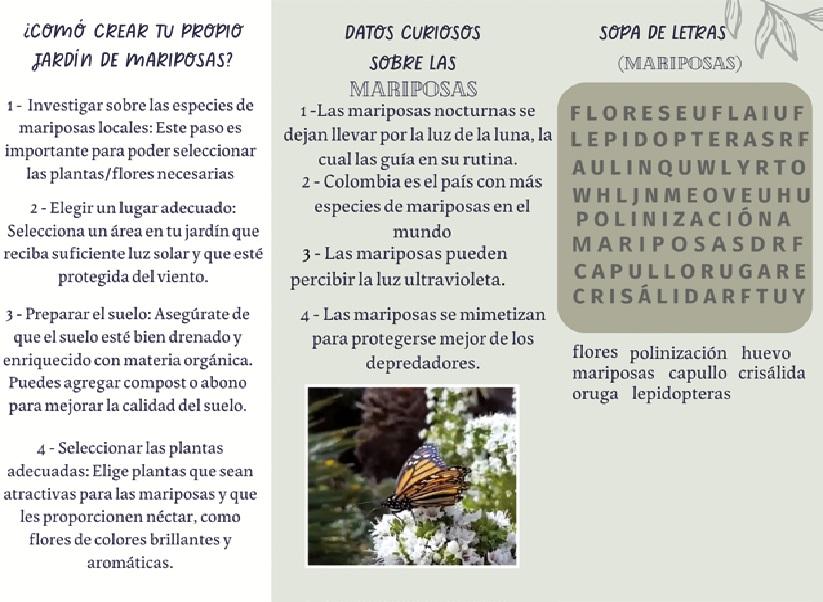 mariposa 12