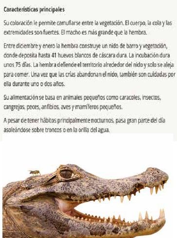 Narrativa 4